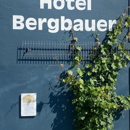 Bergbauer Mit Late-self-check-in Ξενοδοχείο