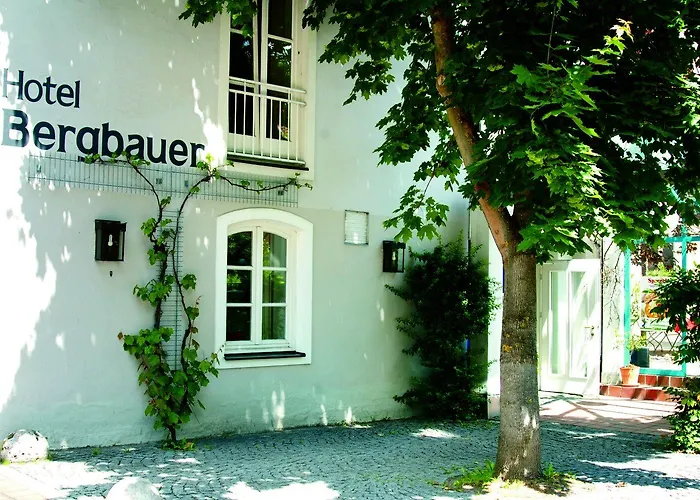 Bergbauer Mit Late-self-check-in 3* Neuburg an Der Donau